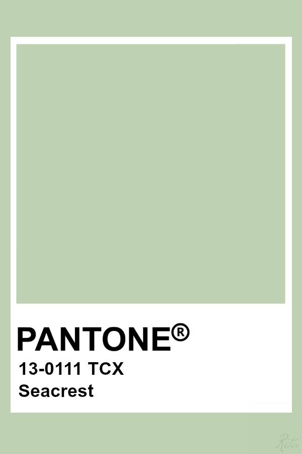 pantone-na-cor-do-tecido-malha-de-algodao-cabo-verde-tecidos-verde-claro
